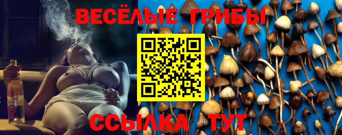 Нововоронеж  Галлюциногенные грибы прущие грибы  где купить наркоту  Вход с VPN 